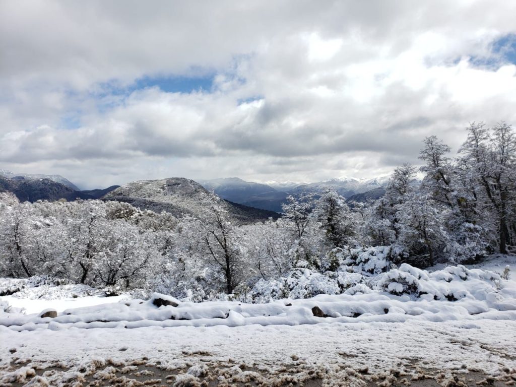 Buscan en Chapelco a un esquiador