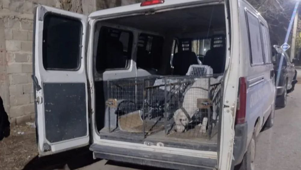 Dogo argentino atacó a un vecino del barrio Villa María