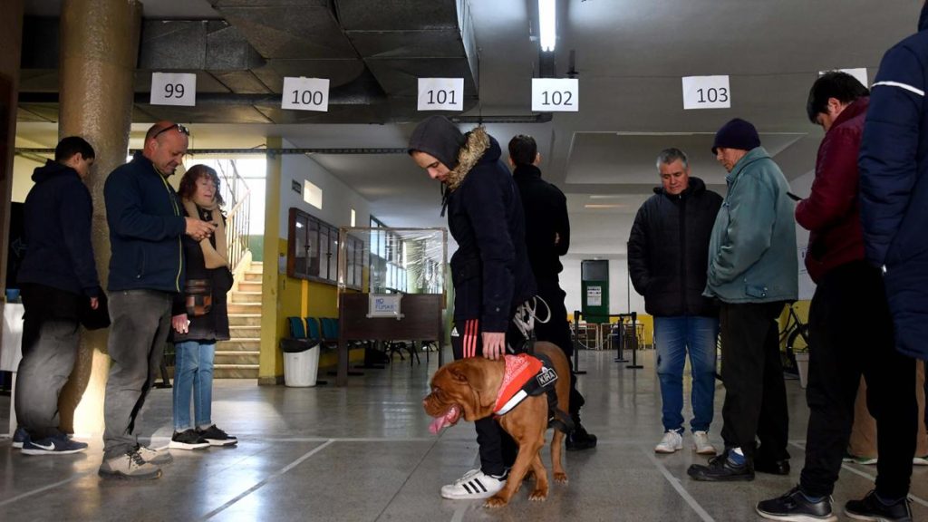 PASO 2023: Más del 66% del padrón emitió el voto