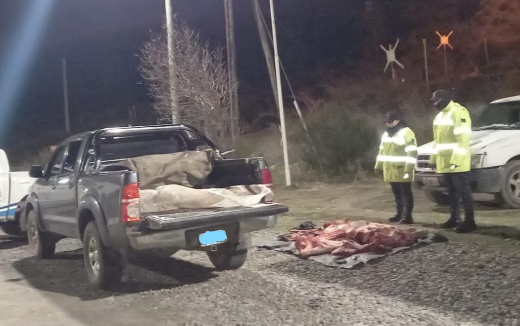 Bariloche: Decomisan un ternero faenado y transportado ilegalmente