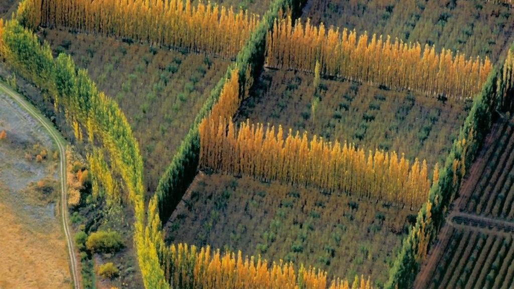 Intendente de San Patricio del Chañar apoya el proyecto de Protección de Suelos Irrigados