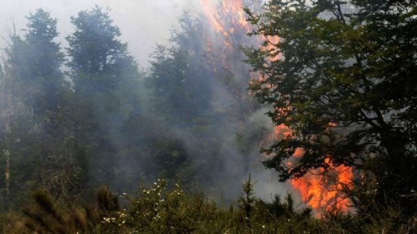 Brigadistas neuquinos combaten un incendio en Ñorquinco