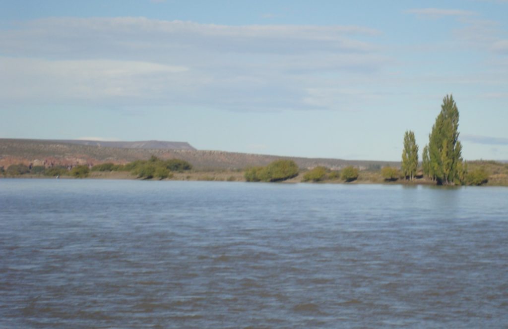 Picún Leufú: Investigan los restos hallados en el río Limay