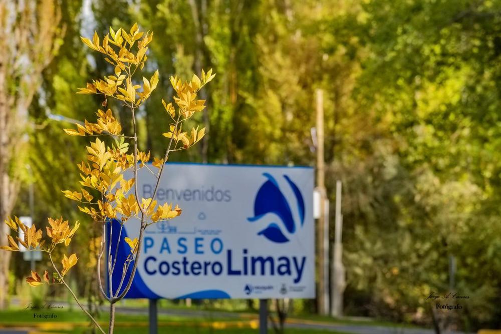 Paseo Costero: rescataron a una mujer en el Río Limay