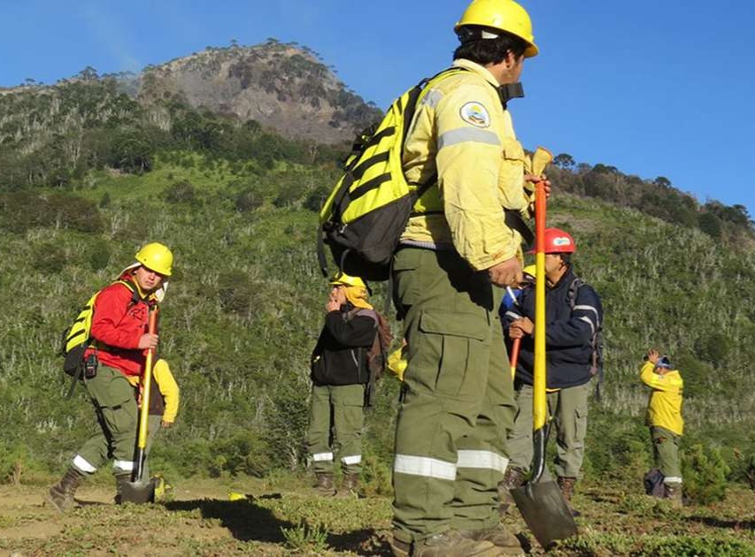 Figueroa obtuvo la continuidad de brigadistas locales tras el DNU nacional