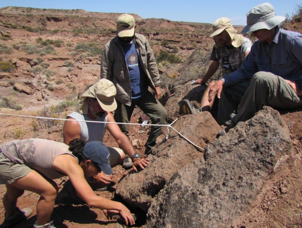 A fin de mes presentarán al nuevo dinosaurio hallado en Neuquén