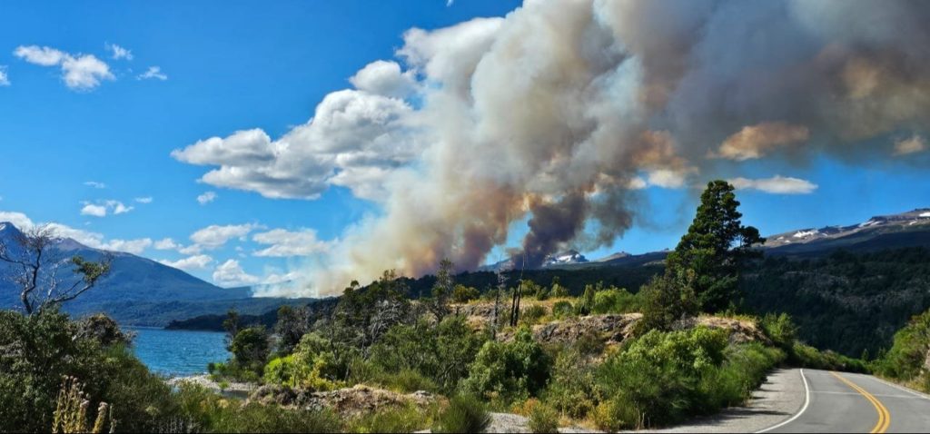 Luchan para controlar el incendio forestal en Parque Nacional Los Alerces en Chubut