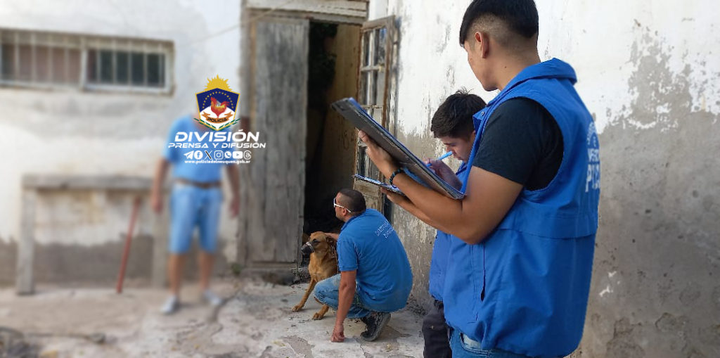 Rescatan a perrita maltratada de un domicilio en Plottier