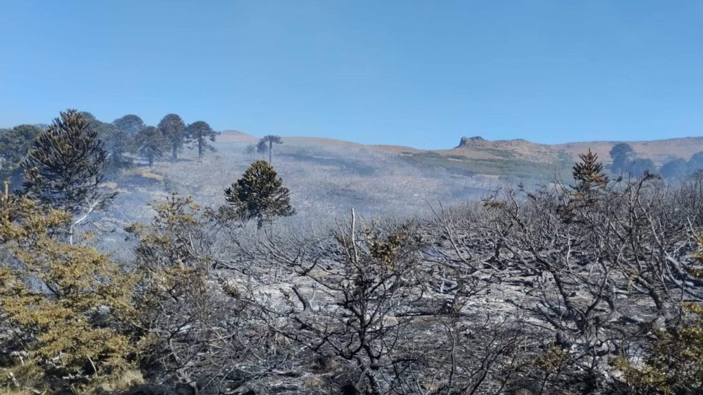 Provincia informó que controló el incendio en Ruca Choroy