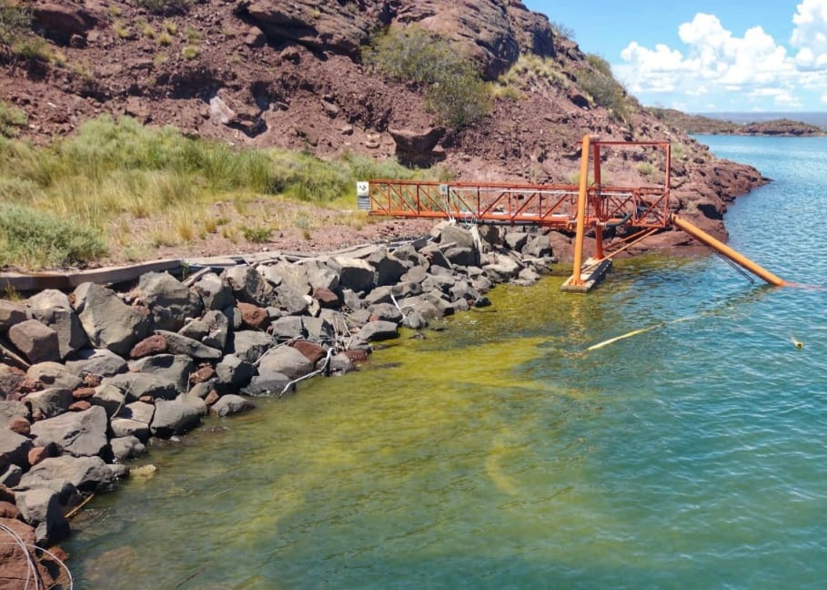 Alerta por algas verdeazules en lagos recreativos de Neuquén