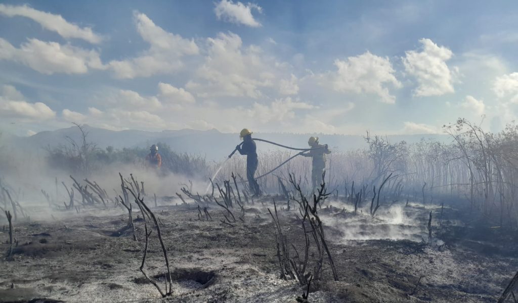 Bomberos apagaron un incendio cerca del Aeropuerto Chapelco