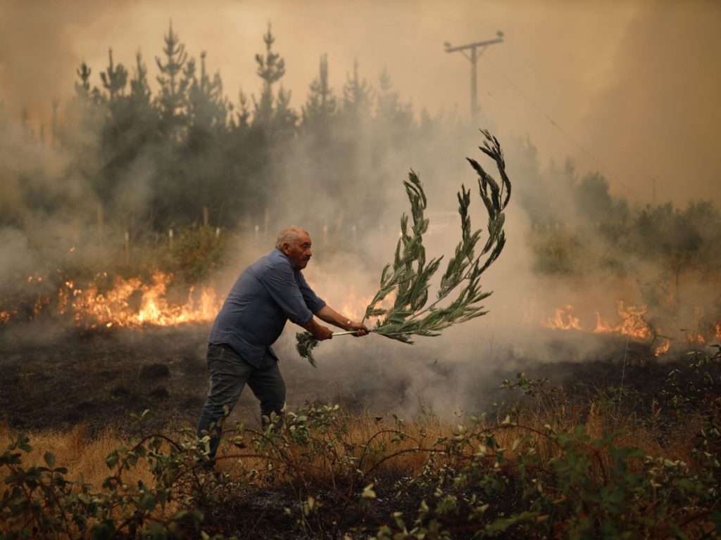 Incendios forestales en Chile: el número de muertos aumentó a 133