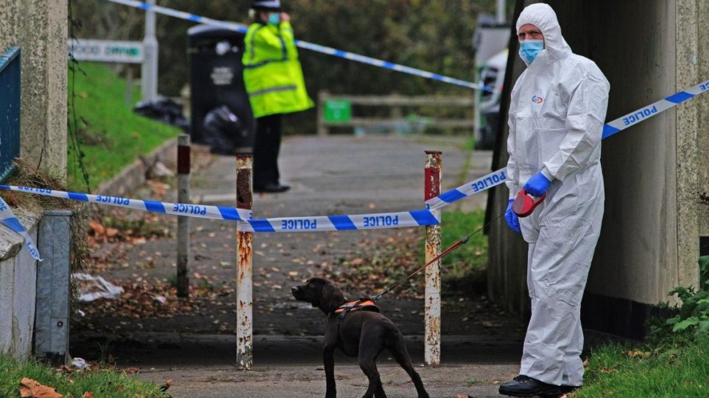 Inglaterra: evacuación masiva en un pueblo al encontrar una bomba de la Segunda Guerra Mundial