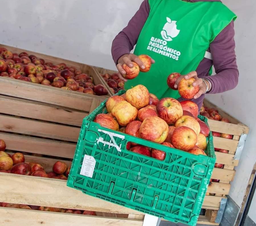 Centenario: Investigan el robo de productos donados al Banco Patagónico de Alimentos