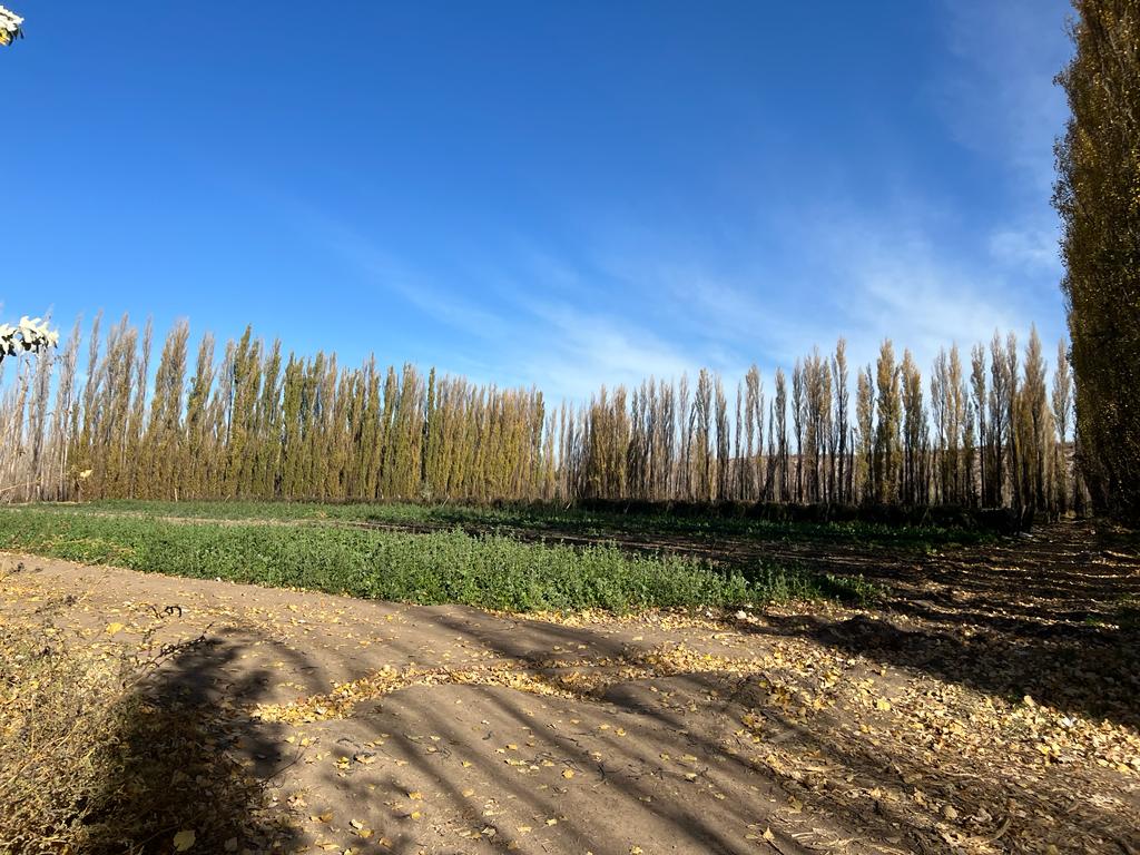 Pagaron lotes y no saben que hacer para frenar un remate judicial