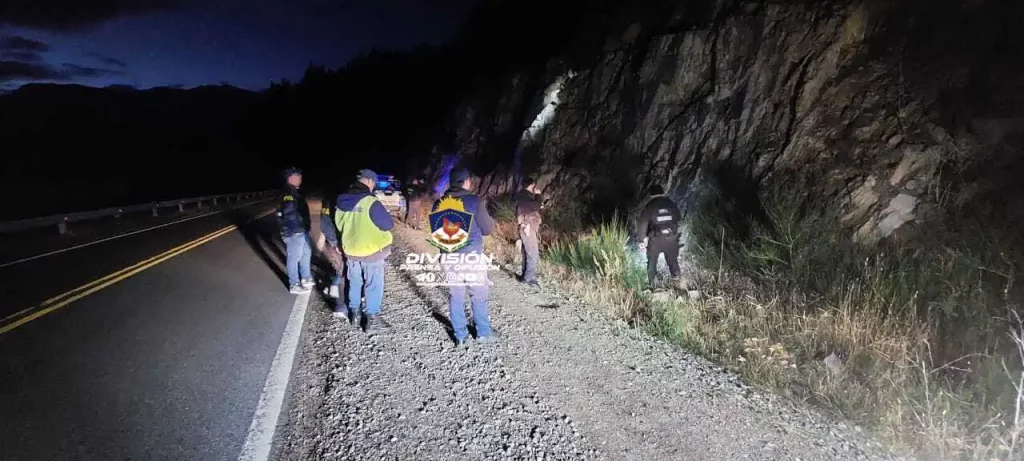 La policía de Neuquén halló artefactos explosivos en Ruta Nacional 40