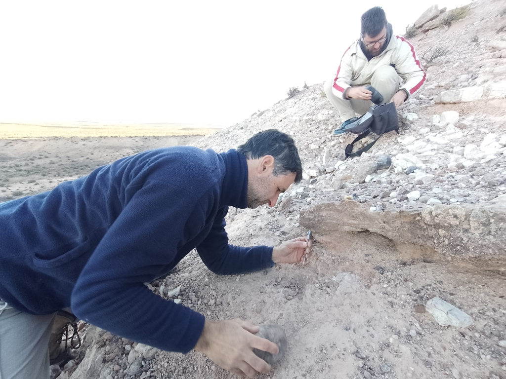 Descubrieron en Río Negro restos de un lagarto de 70 millones de años