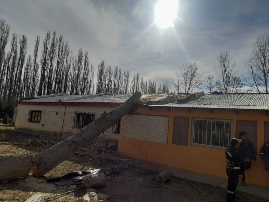 Árbol añejo destrozó una escuela en el paraje El Alamito