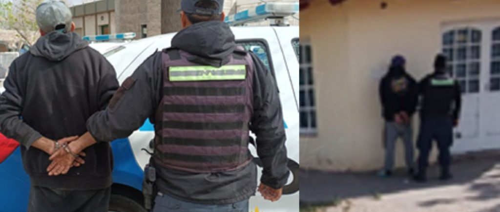Desmantelaron un depósito de fauna protegida y un taller clandestino de armas