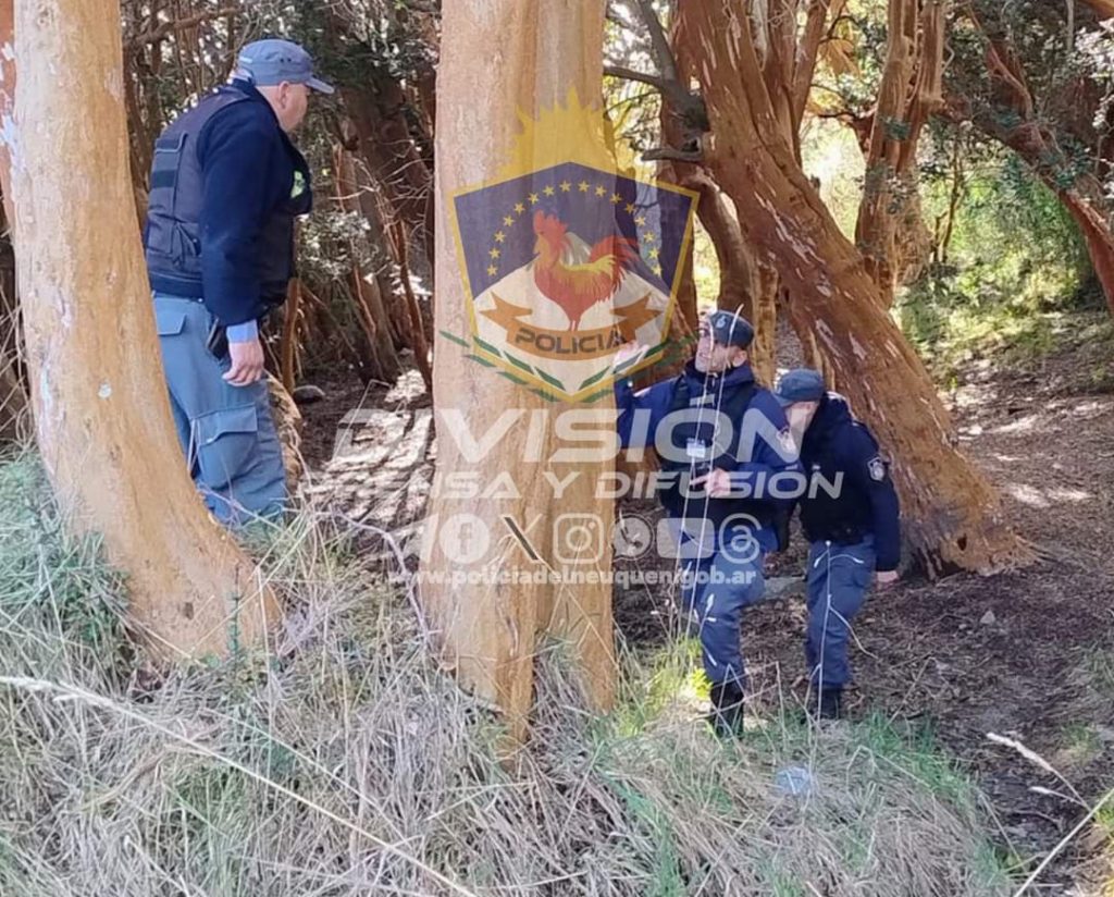 Ladrones de Bariloche fueron detenidos tras dos robos en Villa La Angostura