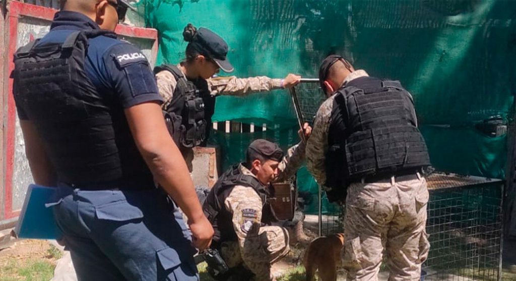 Rescataron a un perrito de un domicilio en el barrio Gran Neuquén