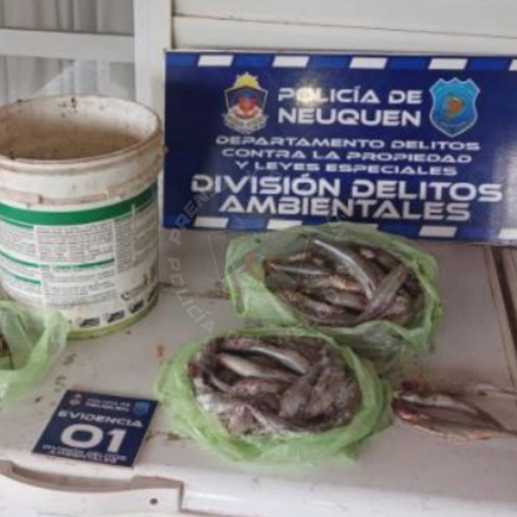 Desarticulan red de pesca ilegal en Vista Alegre Norte