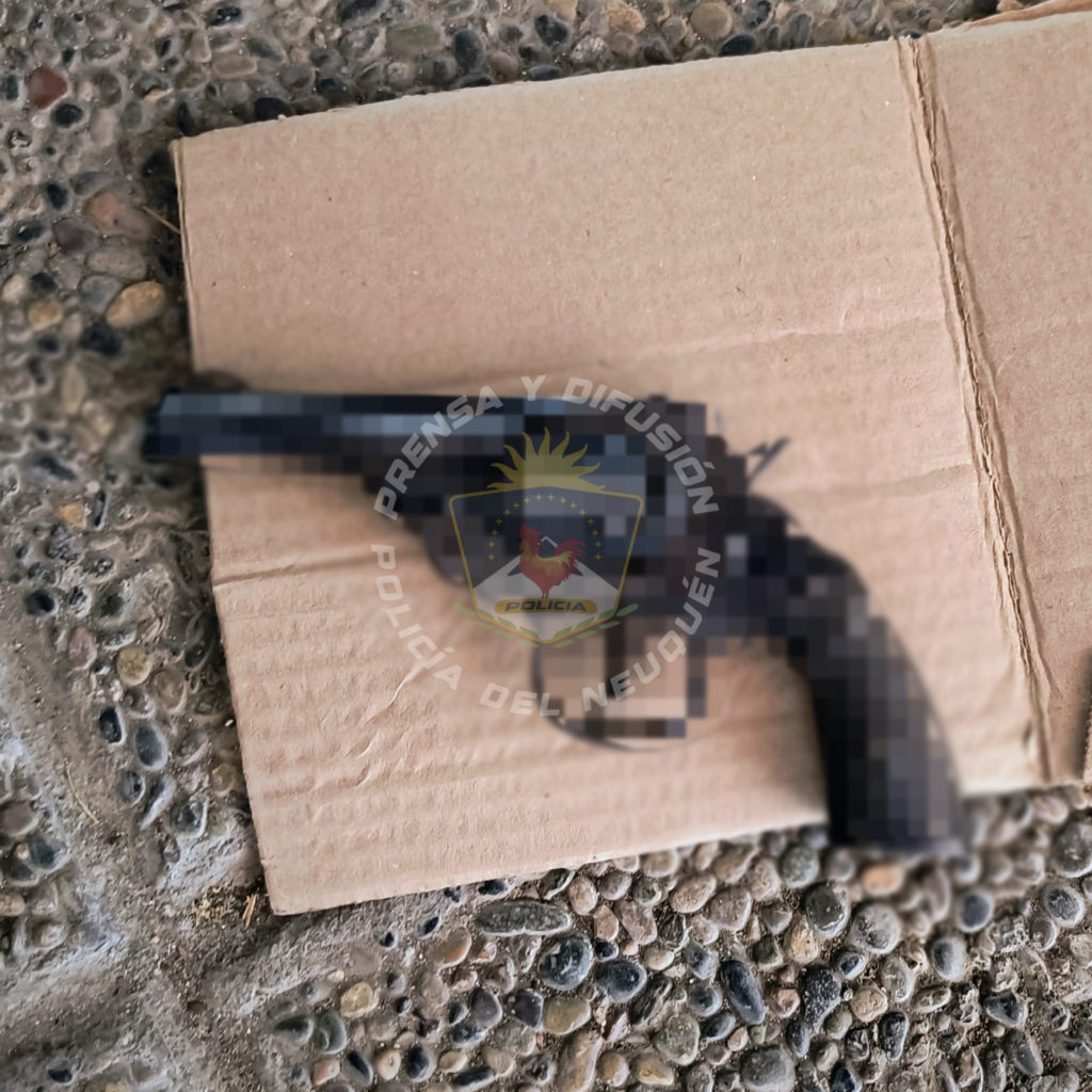 Intento de robo en San Martín de los Andes: dos demorados y secuestro de armas de fuego