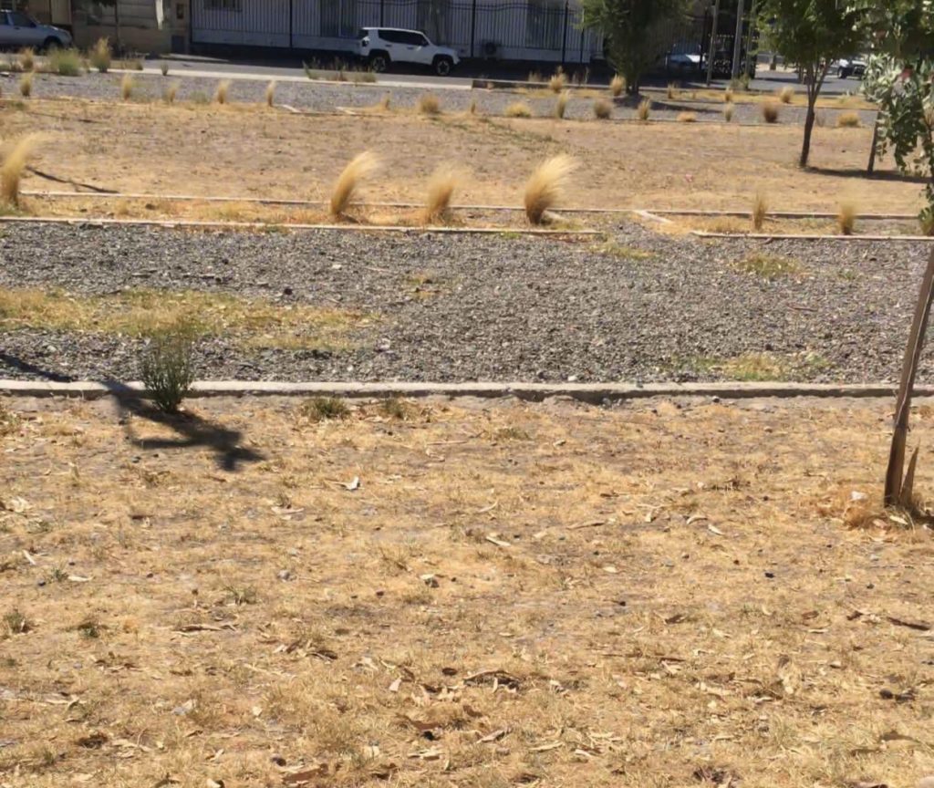 Descontento por el abandono de una plaza «semi nueva» de la Avenida Olascoaga