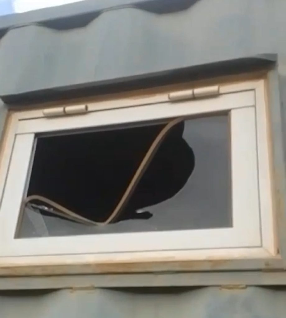 Lamentable: Robaron y vandalizaron al Club El Porvenir de Plottier