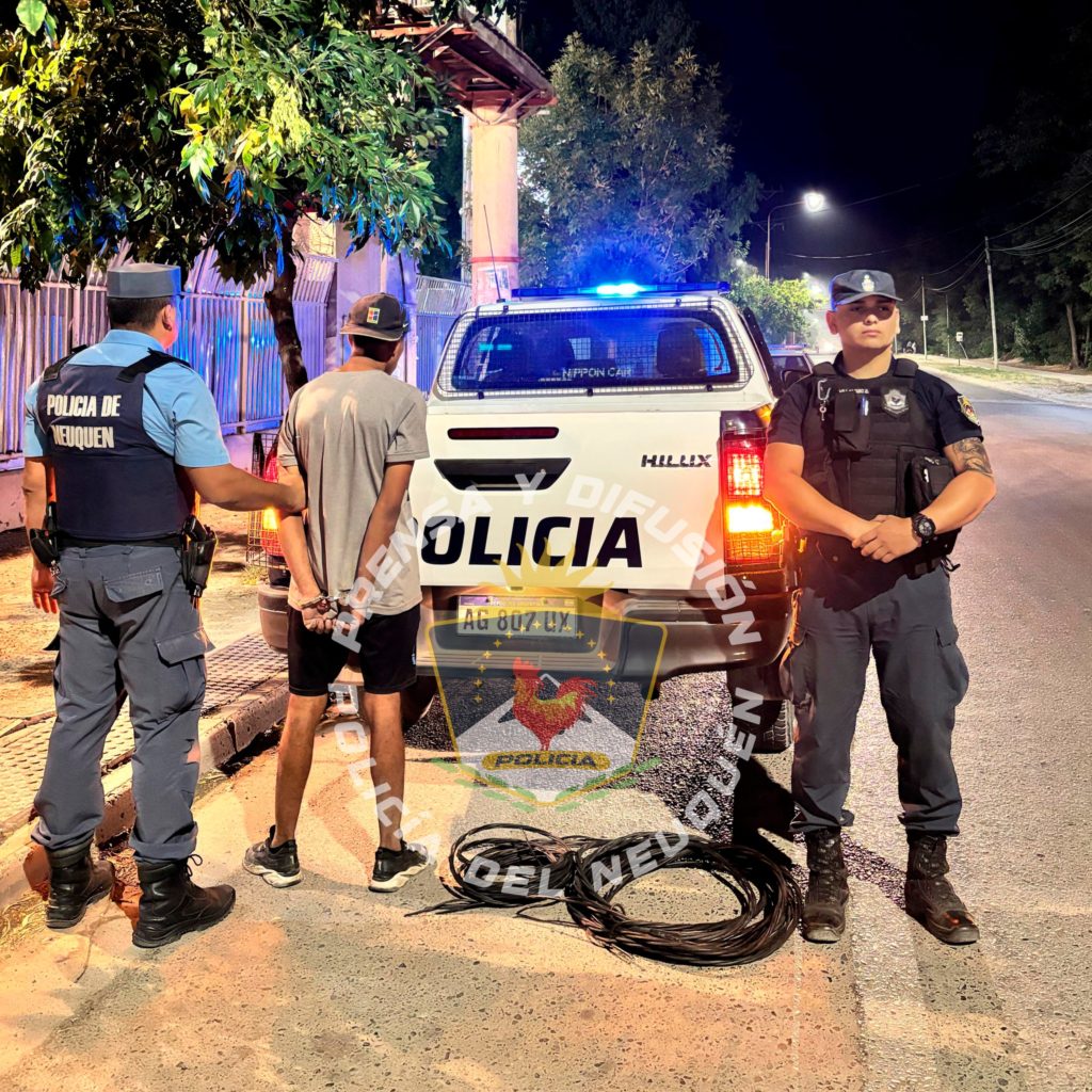 Plottier: atraparon a un hombre robando cables del alumbrado público