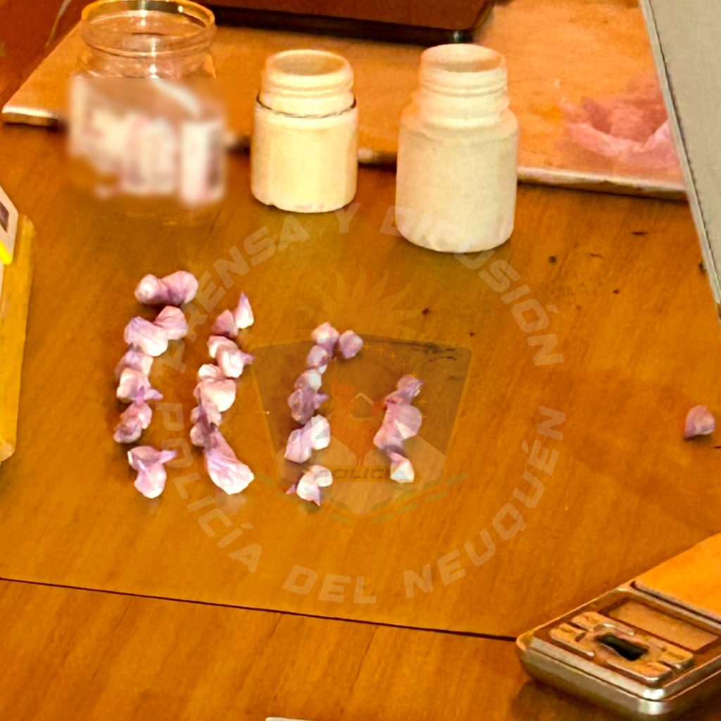 Secuestran municiones y droga en un allanamiento en Centenario