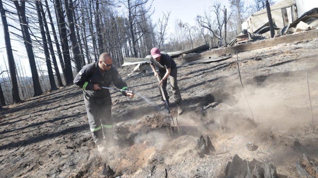 Incendios forestales: Nación indicó que las provincias son responsables de cuidar los recursos naturales