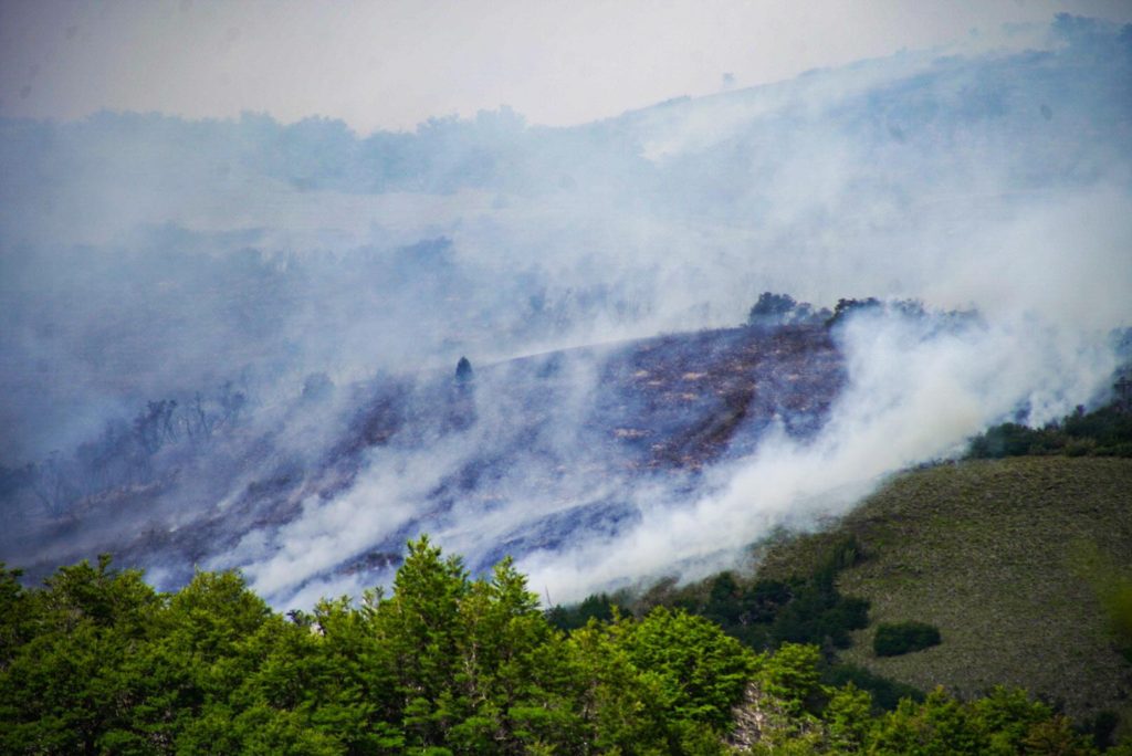 Junín de los Andes: Entre el turismo que no para y las comunidades evacuadas por el incendio en Valle Magdalena