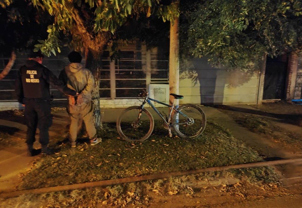 Allen: Dos hombres fueron detenidos luego de robar y agredir a policías