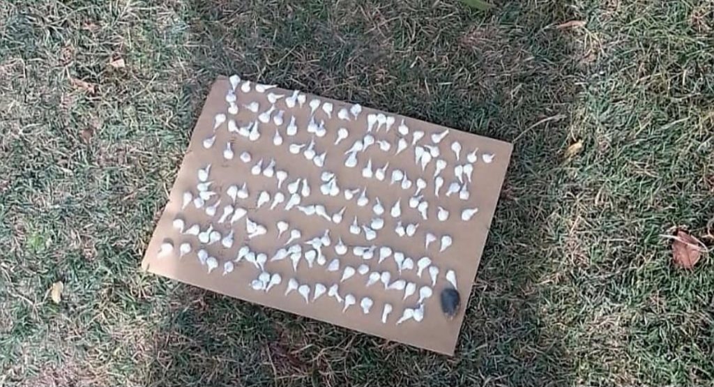 Secuestraron dosis de cocaína en la vereda de una casa