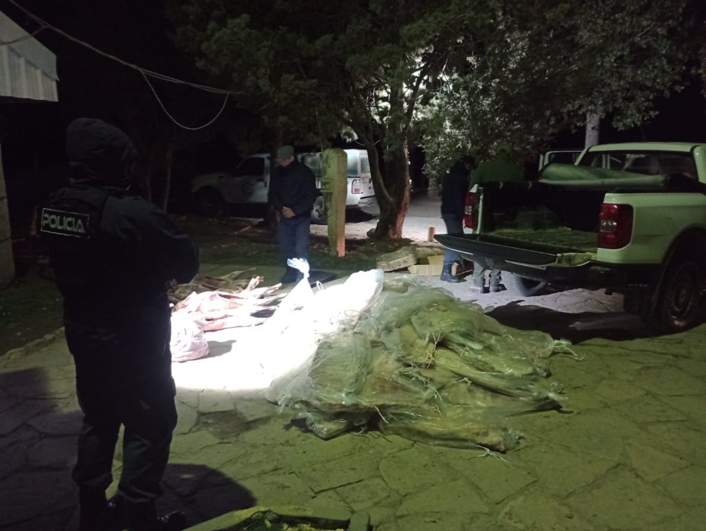 Operativo en Pata Mora: Camioneta con carga ilegal de carne fue detectada por CIPPA
