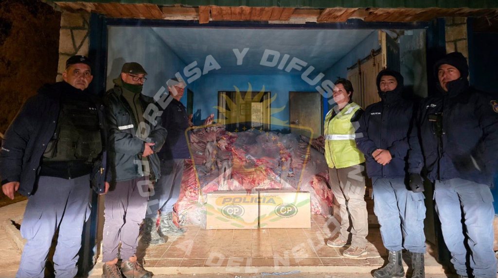 Secuestraron más de 4 mil kilos de carne ilegal en Neuquén