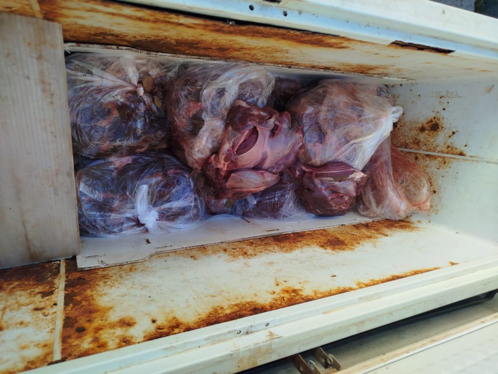 Decomisaron dos toneladas de carne en mal estado en carnicerías de San Antonio Oeste y Las Grutas