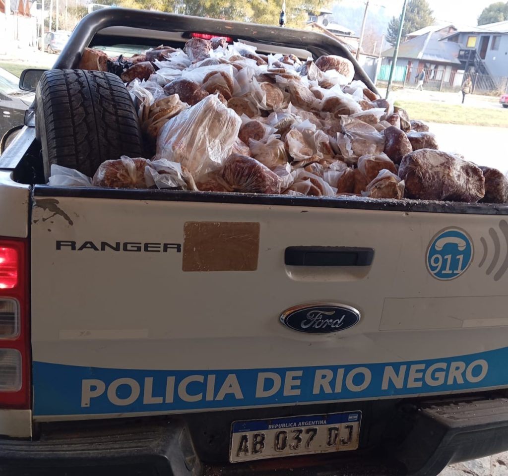 Decomisaron varios kilos de carne de carnicerías de El Bolsón