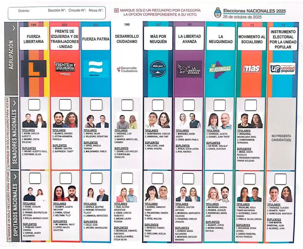 Este es el paso a paso para emitir correctamente el voto