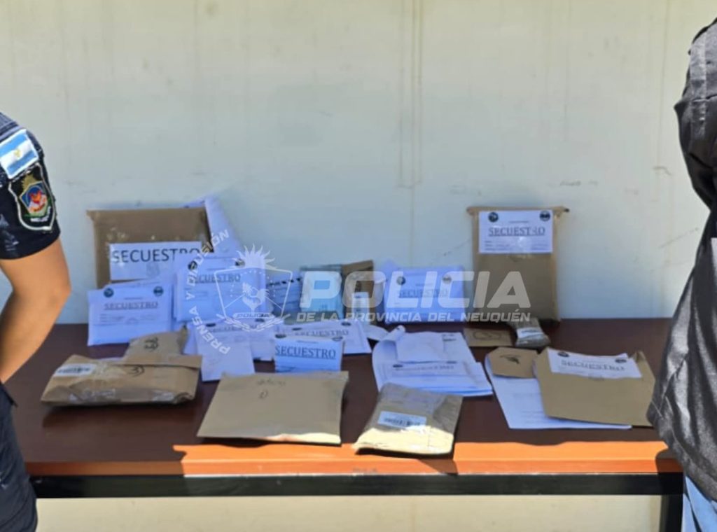 Secuestraron armas con números limados durante allanamientos en Neuquén y Río Negro