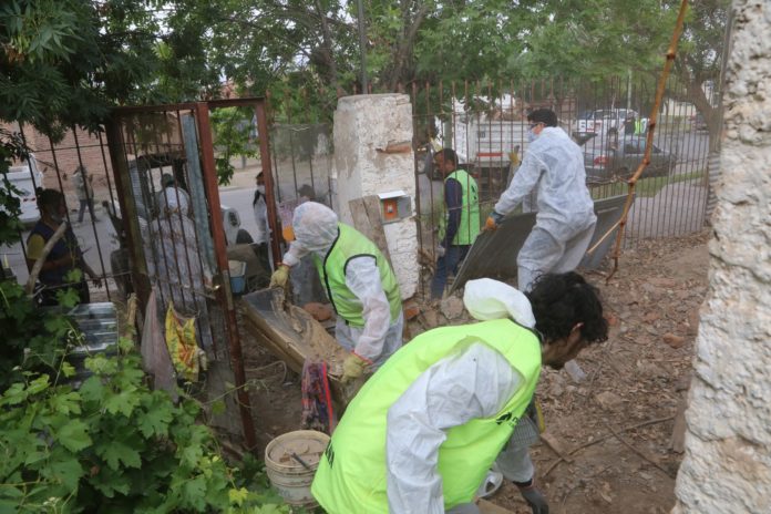 WhatsApp-Image-2025-11-06-at-12.07.08