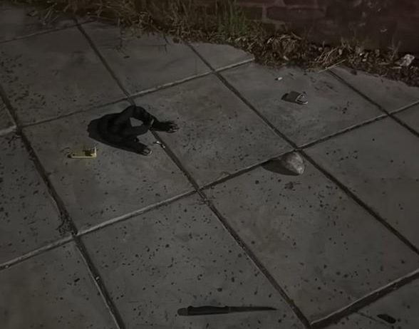 WhatsApp Image 2025-12-18 at 08.03.57