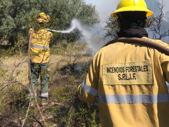 incendio_rio_negro_2