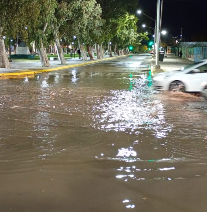 WhatsApp Image 2026-04-14 at 07.12.55